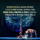 루치아 이미지