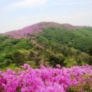 초원 숲속 야영장 이미지