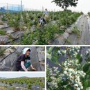 하랑농장 이미지