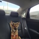 이마트24 해남땅끝점 이미지