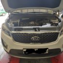 오토엘리펀트 이미지