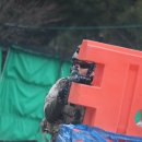 게임라떼 이미지