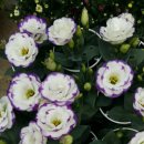 가람농원 이미지