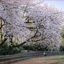 화원동산 주차장 이미지