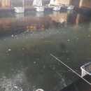 놀러와 실내낚시터 이미지