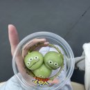 빅투어즈