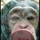 사랑니빠지는구강악안면외과치과의원 이미지