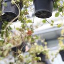 두이농장 이미지