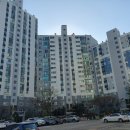 분당-137 이미지