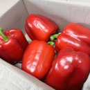 섭이네농장 이미지