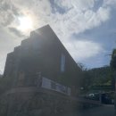 이리온애견펜션 이미지