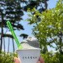 강릉짬뽕순두부동화가든 | 강릉 짬뽕 순두부 맛집 동화 가든 방문 후기