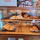 오브닝(ovening) 이미지