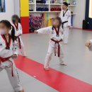 경희대 에이스 태권도장 이미지