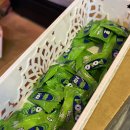 양덕동282 이미지