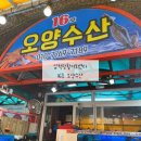 [삼척] 삼척항 수산시장, 활어회센타 / 16호 오양수산 추천 (광어, 쥐치, 도다리, 도화새우)/ 주차, 가격