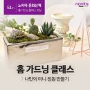 노비타홈