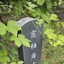 퇴계문구