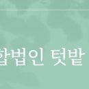 텃밭영농조합법인 이미지