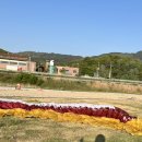 뽀글3/54회. 함양 안의면. 64km 이미지