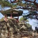 삼천궁녀 - 칠곡군 북중리2길 40 | 삼천궁녀