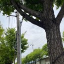 만미숯불갈비 이미지