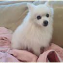 데이두케어 이미지