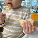 주정차 단속 - 052 | 치아바타 전문 울주베이커리카페｜라함베이커리 솔직후기