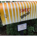 어린이청소년도서관(옥외) 이미지