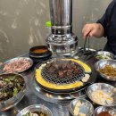 돗배갈매기 이미지