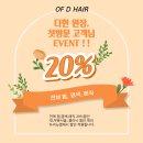 오브디헤어 이미지