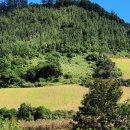 온새미영농조합법인 이미지