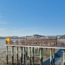 무안황토갯벌랜드 이미지