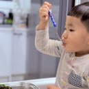 삼형제 한우농장 | 미역국밀키트 추천 삼형제고기 1등 한우 소고기미역국 후기