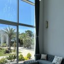 에다모니아 이미지