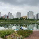 김포 이미지