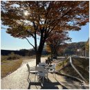 컴프에비뉴 이미지