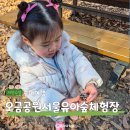 오금공원 | 서울 송파 오금공원 유아숲체험장 아이와 가볼만한 곳 숲놀이터