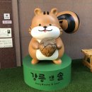 강릉앤솔 이미지