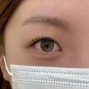 고수 동물병원 | 대전 봉명동 속눈썹 히카리 짱 최고 원장님 개고수 실력자!