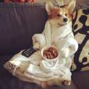 할랄레스토랑 라마다 | 중국 상해 Shanghai 시내 음식점 , 라마다호텔 후기