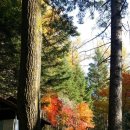 인계동주민센터 이미지