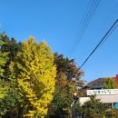 머물다삼포 이미지