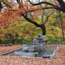 상림약수터 이미지