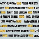 연안생태찌개 이미지