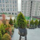 삐딱이의자