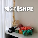 자세 교정 운동, SNPE란?필라테스와 차이, 해운대 SNPE 후기