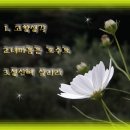 내마음은호수요 이미지