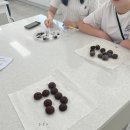 대진중학교 이미지