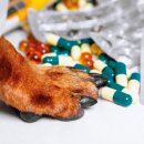 유명동물약국 이미지